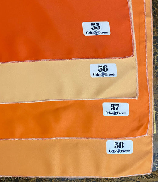 ColorBreeze® Color Draping Sets — Professional Seasonal Fabric Swatches